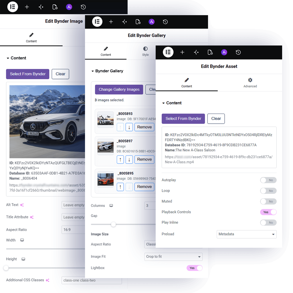 Bynder Bridge Elementor Workflows